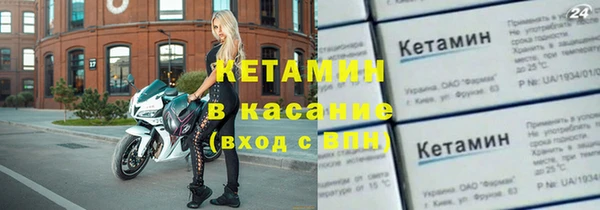 сатива Гусь-Хрустальный