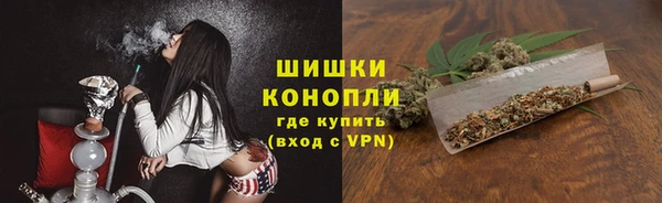сатива Гусь-Хрустальный