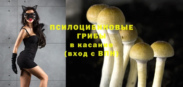 сатива Гусь-Хрустальный