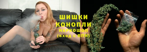 сатива Гусь-Хрустальный