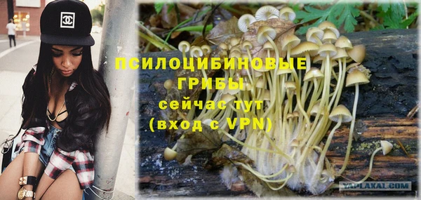 дурь Лагань