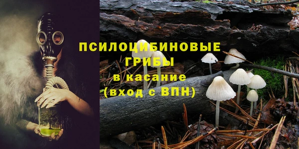 сатива Гусь-Хрустальный