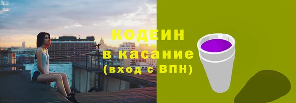 сатива Гусь-Хрустальный