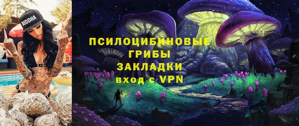а пвп мука Гусев