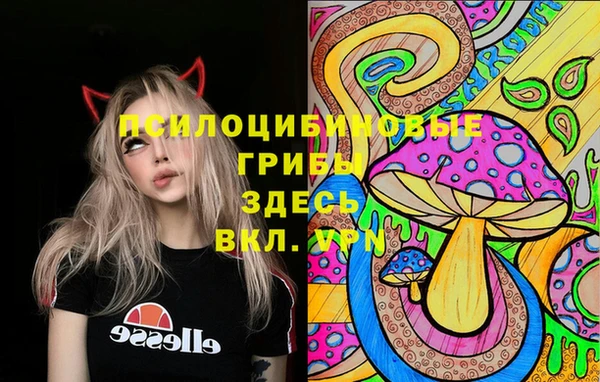 сатива Гусь-Хрустальный
