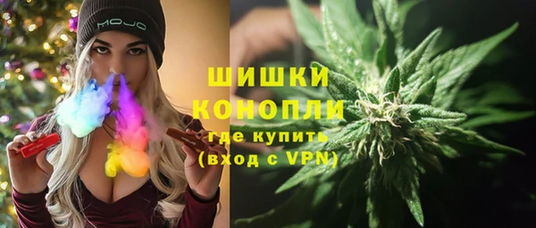 сатива Гусь-Хрустальный
