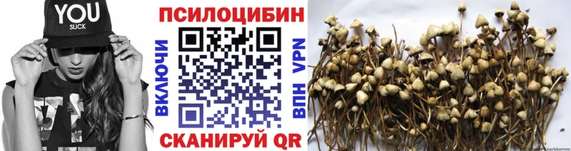 Псилоцибиновые грибы ЛСД  МЕГА ONION  Дмитровск 